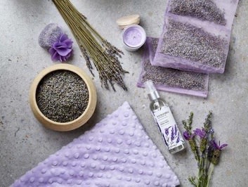 Sonoma Lavender collection in Stockton, CA